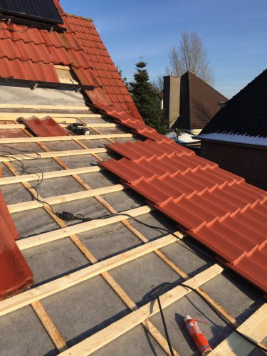 Kor-Elzinga-Molema-Grijpskerk-00118