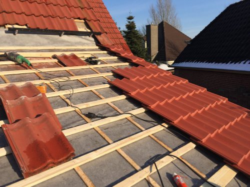 Kor-Elzinga-Molema-Grijpskerk-00119