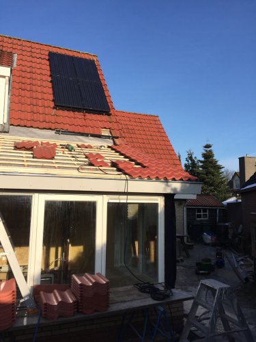 Kor-Elzinga-Molema-Grijpskerk-00120