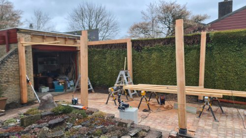 Kor-Elzinga-Roos-Feenwoude-00002