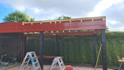 Kor-Elzinga-Roos-Feenwoude-00007