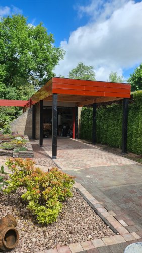 Kor-Elzinga-Roos-Feenwoude-00009